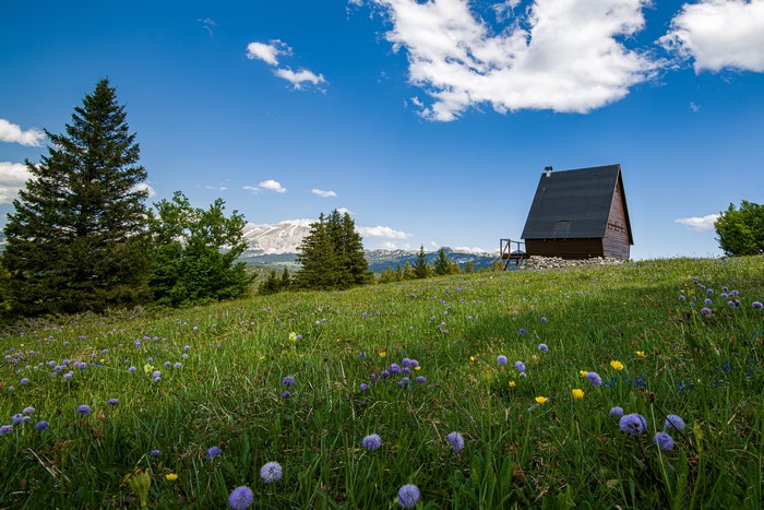 Wooden cabin in a grassy meadow with mountains