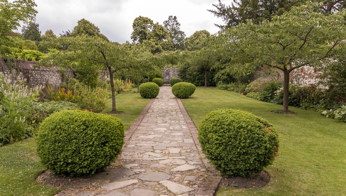 Greys Court Garden Path with Topiary Shrubs and Trees
