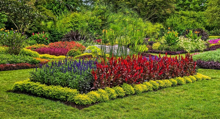 Vibrant flower beds and manicured lawn in a garden
