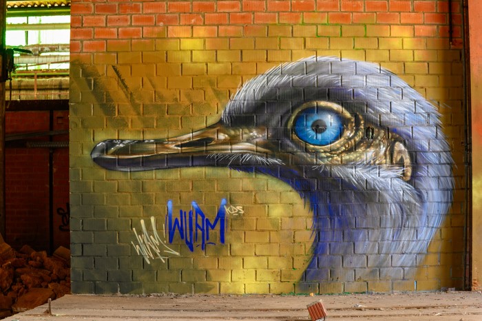 Graffiti of a bird's head on a brick wall