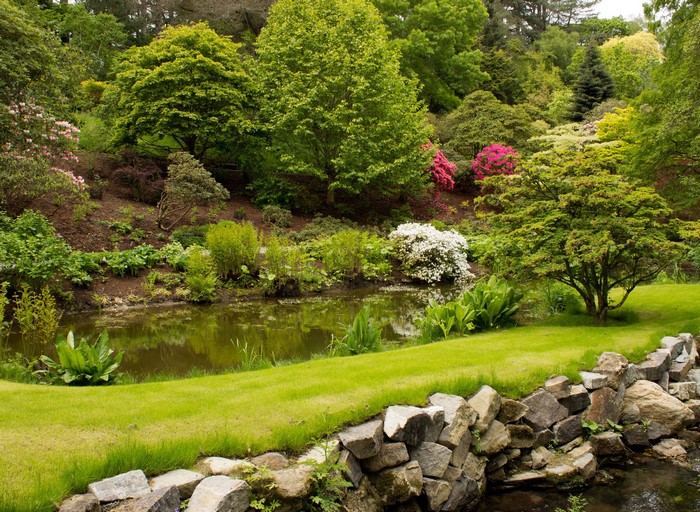 Bodnant Garden Pond with Stones and Shrubs in the UK