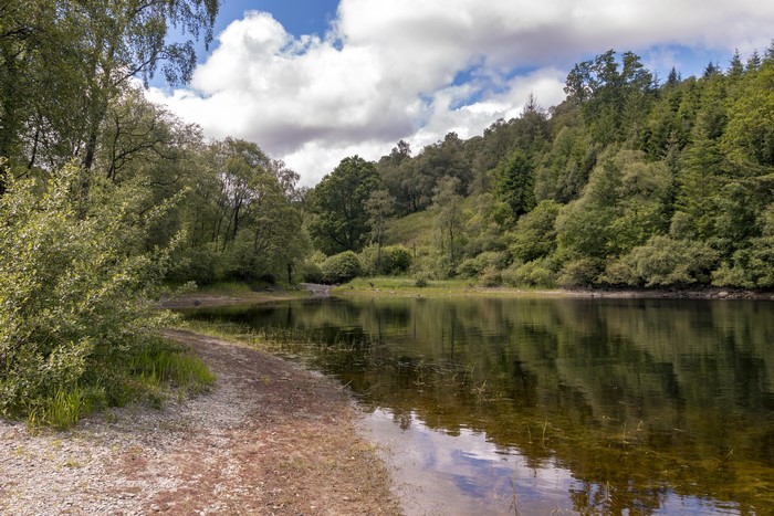 Lake and forest landscape in Scotland