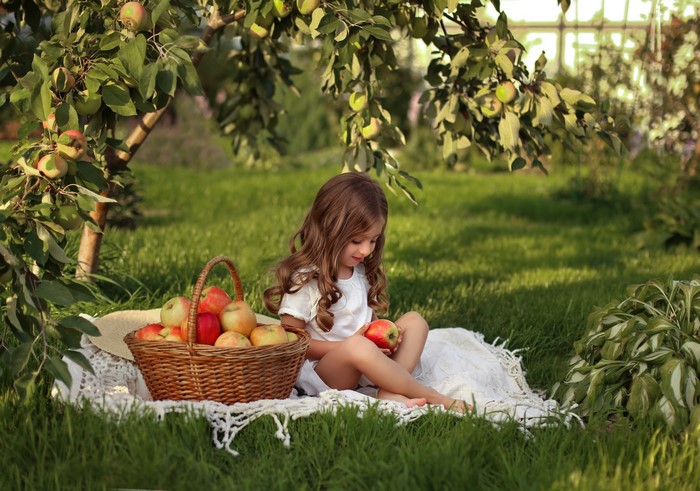 Little girl with basket of apples in an orchard