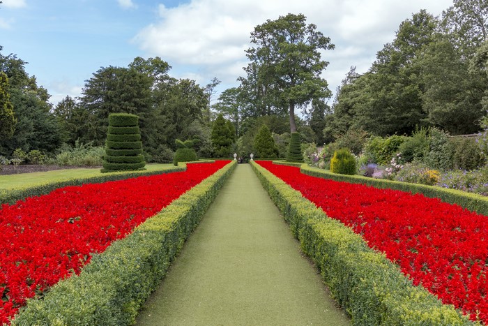 4K Cliveden Garden with Red Flowers and Topiary