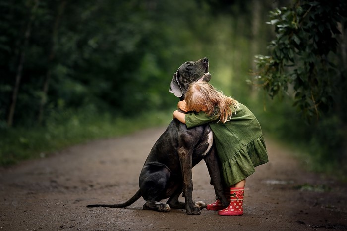 Girl hugging a Great Dane dog on a path