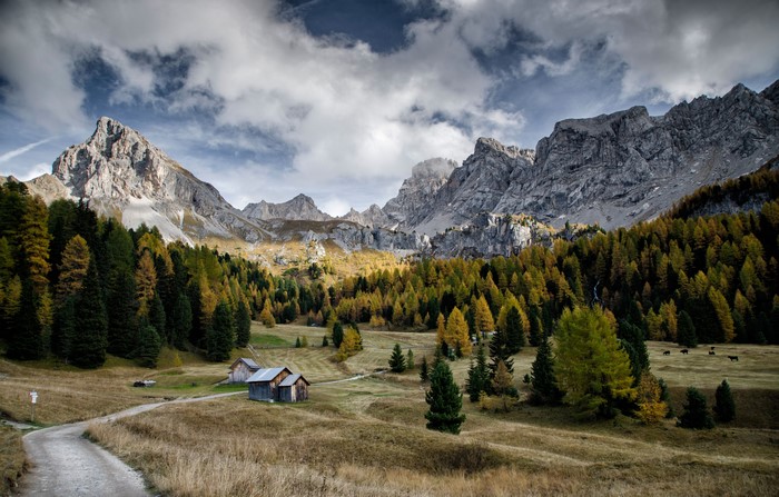 Autumn in Val di Fassa, Dolomites, Italy