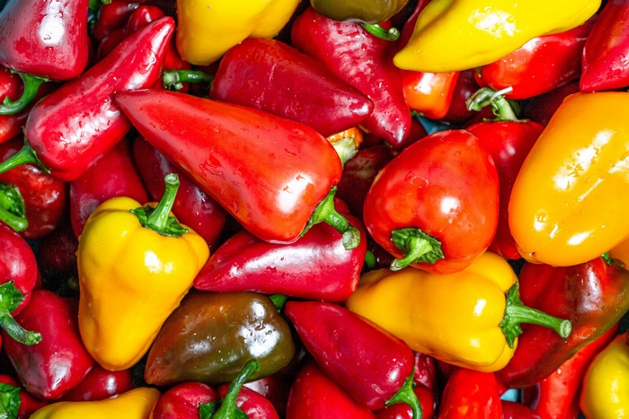 A pile of colorful bell peppers