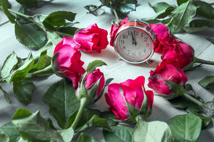 Red Roses and Alarm Clock