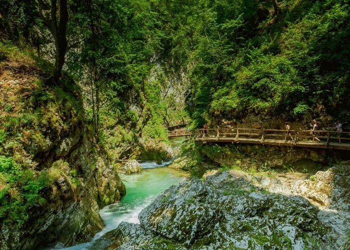 Vintgar Gorge with wooden walkways and river in Slovenia