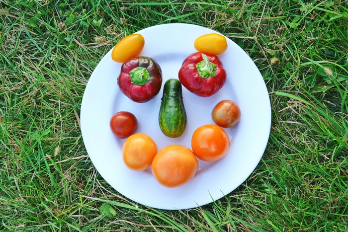 Vegetable face on a plate on grass