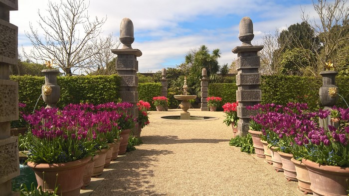 Arundel Castle Gardens with Tulips and Fountain