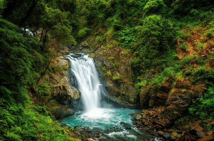 4K Taiwan Waterfall Amid Lush Greenery