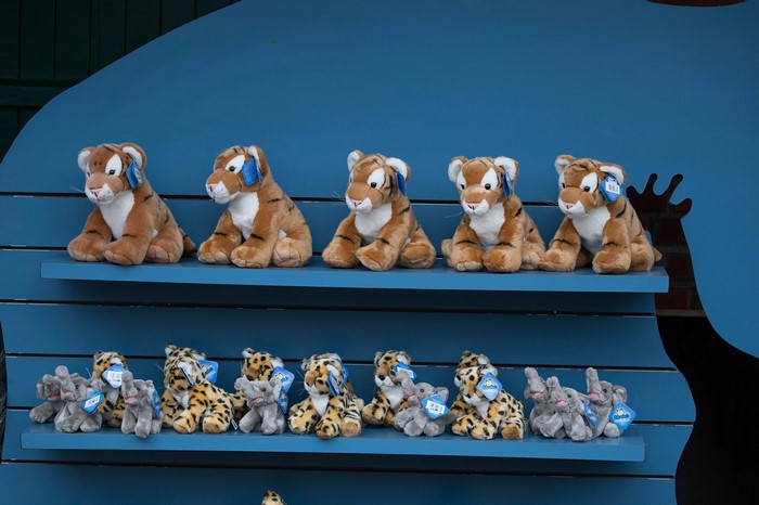 Plush tigers, leopards, and elephants on display shelves