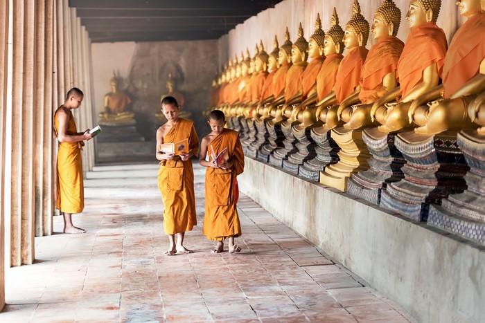 Young Buddhist monks reading in a temple with Buddha statues