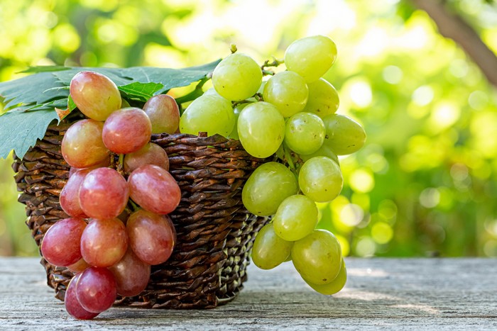 Red and green grapes in a wicker basket
