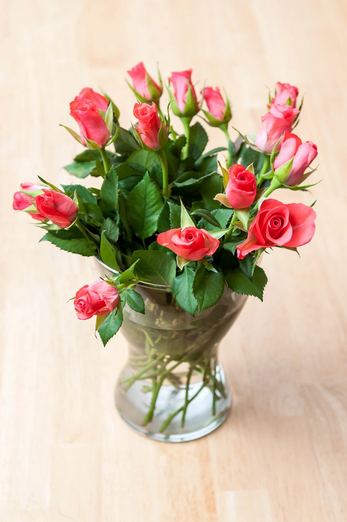 Pink roses in a glass vase
