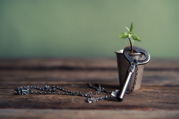 Key with chain and plant in pot