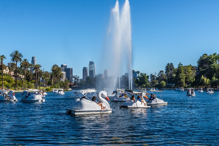 Echo Park Lake with Swan Boats and Los Angeles Skyline