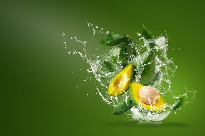 Avocado fruit with water splash and leaves