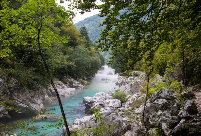 River Soca in Slovenia with rocky banks and trees