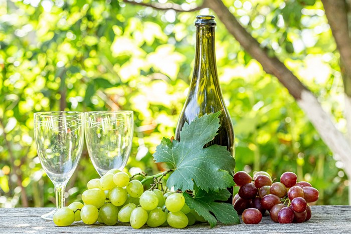 Wine bottle, grapes, and stemware on a table