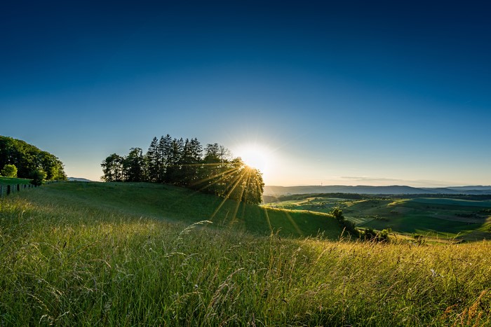 4K Switzerland Fields Sunrise Trees Rays of Light