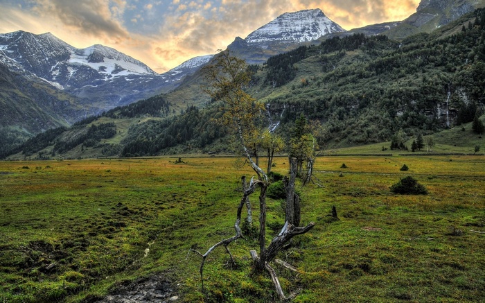 Mountain landscape with a bare tree in the foreground