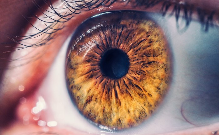 Macro shot of a brown human eye