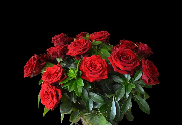 Bouquet of red roses on a black background