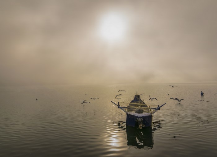 Boat and seagulls in fog with sun