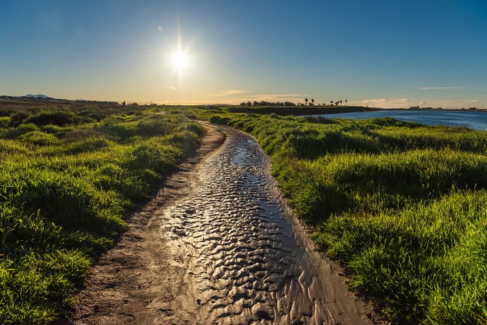 Path through marshland with sun over ocean in California