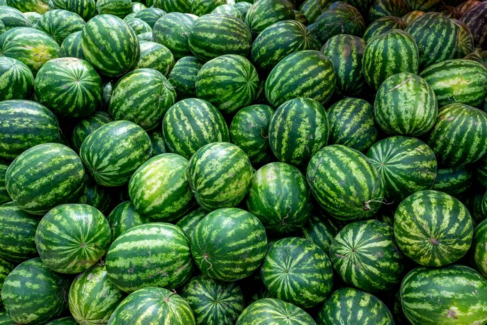 Many watermelons texture