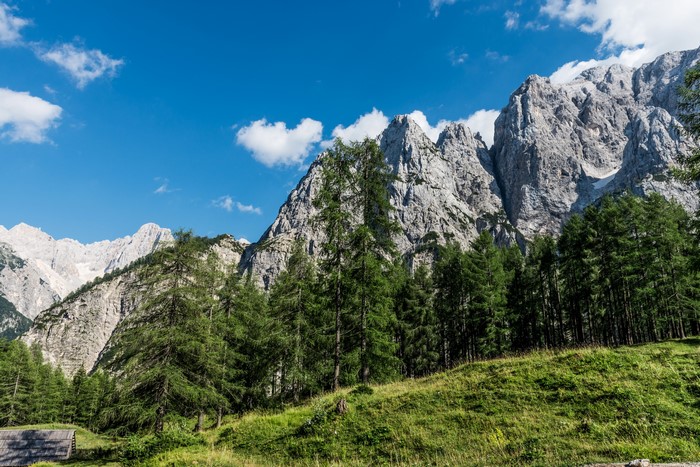 Mountains and forest in Slovenia