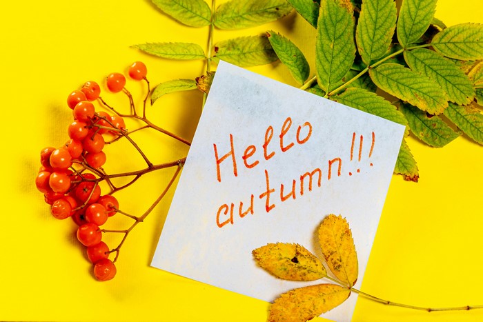 Autumn berries and leaves with a note