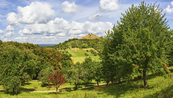 Hills and trees in Hepsisau, Germany