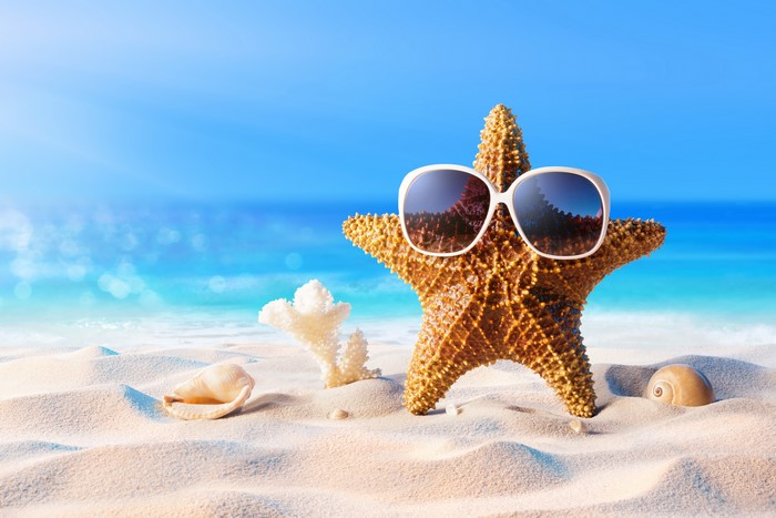 Starfish Wearing Sunglasses on Sunny Beach 4K