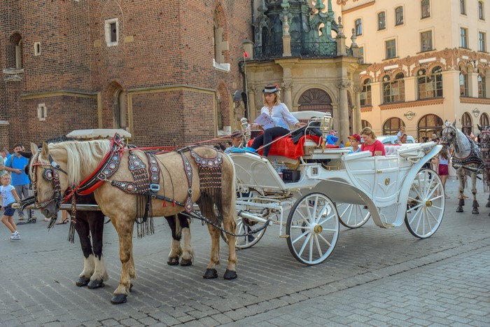 Horses pulling a carriage with people in a city square