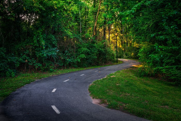 Winding road through a forest in Columbus, Georgia
