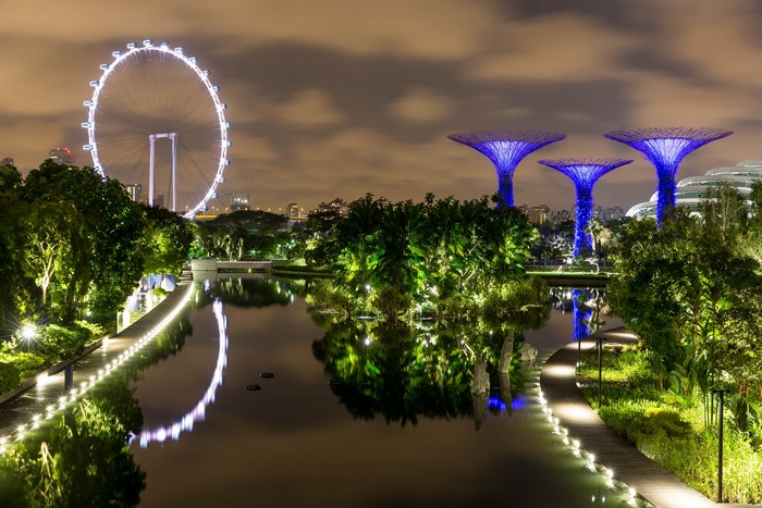 Gardens by the Bay Singapore at night with Ferris wheel