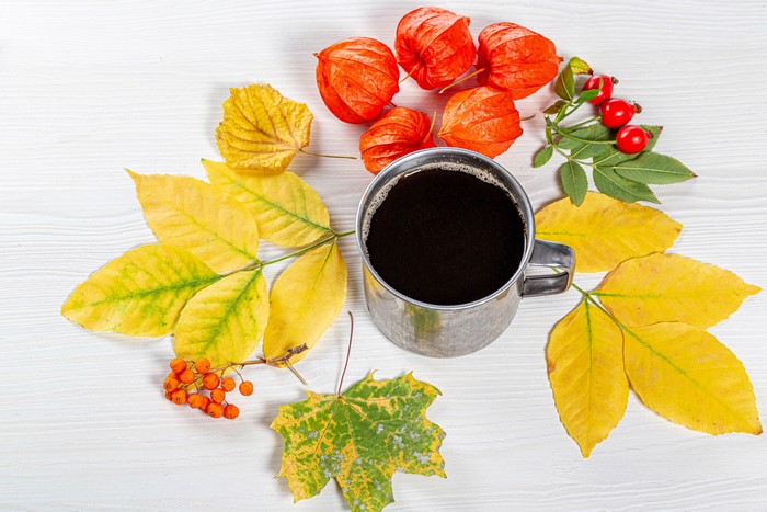 Autumn leaves and coffee mug with berries