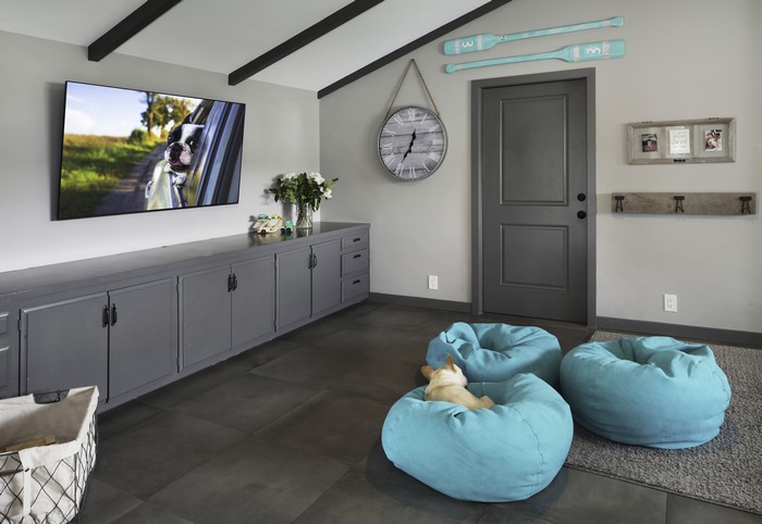 Living room with TV and dog beanbags