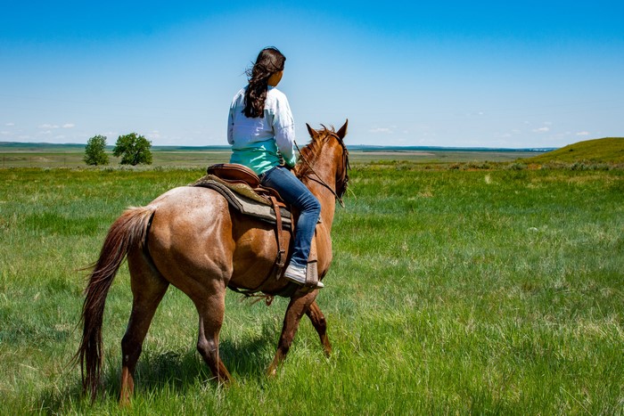 Girl riding a horse in a grassy field