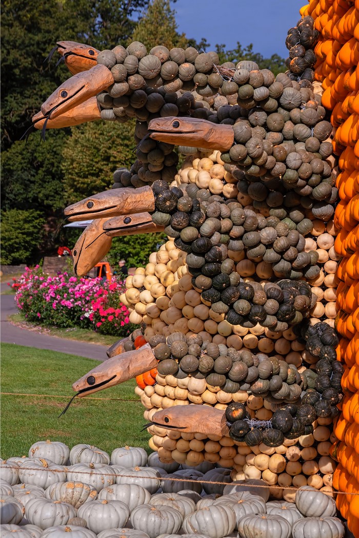 Pumpkin snake sculpture with wooden heads
