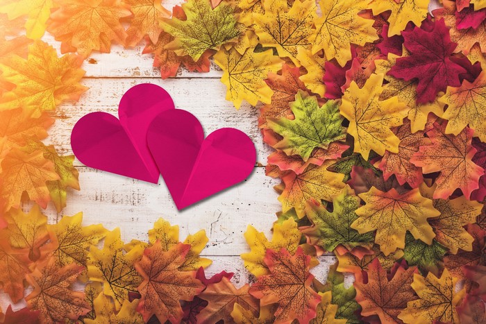 Two pink hearts on a wooden surface with autumn leaves