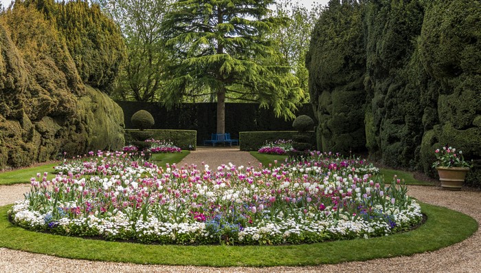 Ascott House Garden with Tulips and Topiary