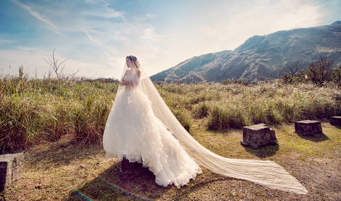 Bride in a wedding dress with a veil in a field