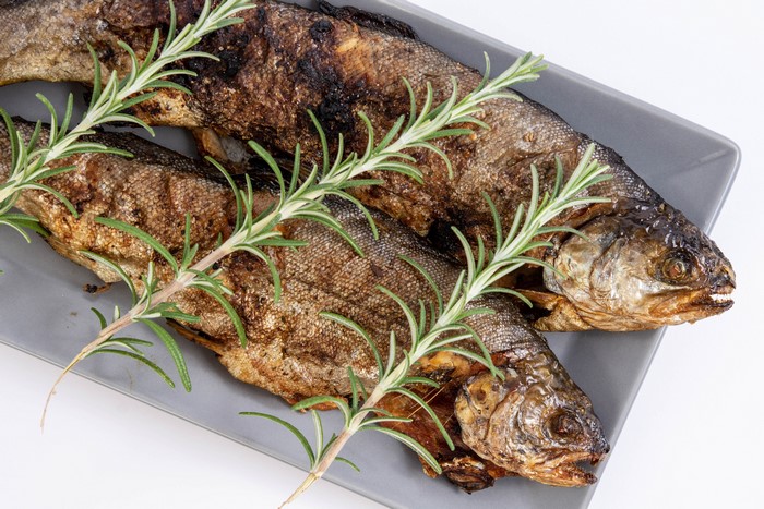 Two grilled fish with rosemary on a plate