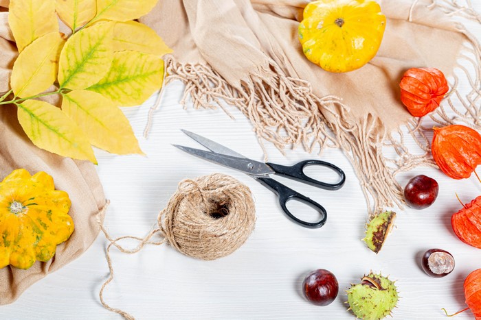 Autumn still life with pumpkins, physalis, chestnuts, and scissors