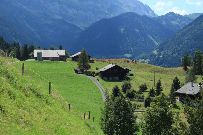 Houses in a Swiss Alpine valley with mountains