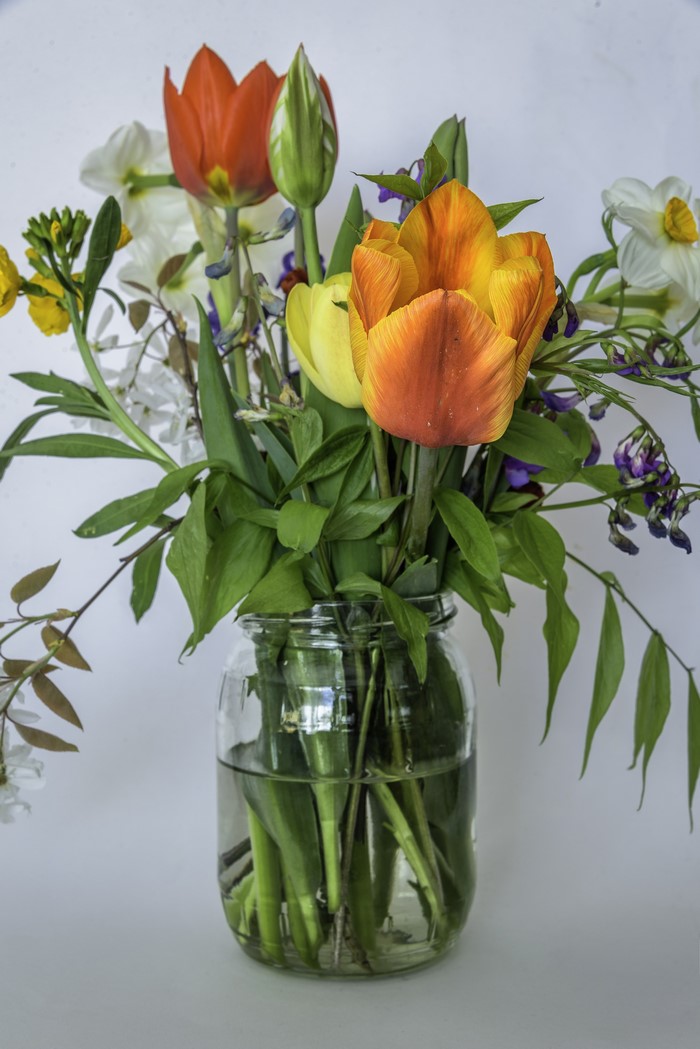 Bouquet of Tulips and Daffodils in a Jar